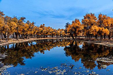 《真・三国无双 起源》将于Switch™2发售 ～大型DLC于2026年1月22日全平台正式发售～